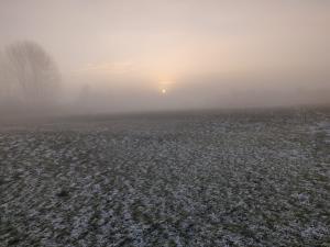 Menno 03 Bemmel akker in ochtendlicht